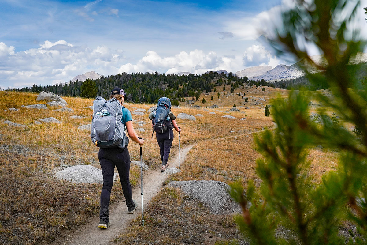 Trekking poles (group shot backpacking)