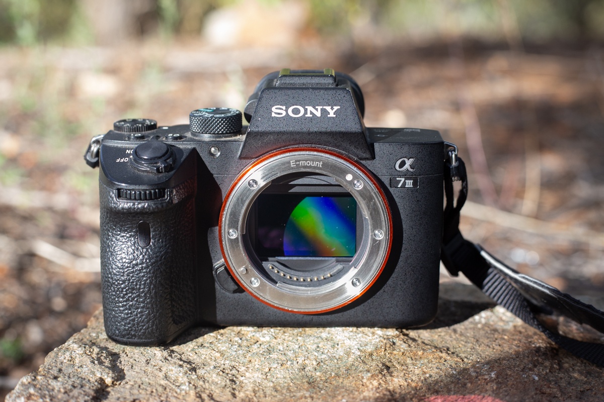 Cameras for Hiking and Backpacking (Sony Camera Sensor)