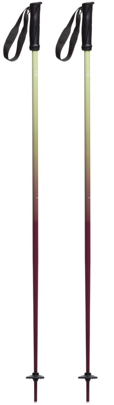 Evo Merge ski poles