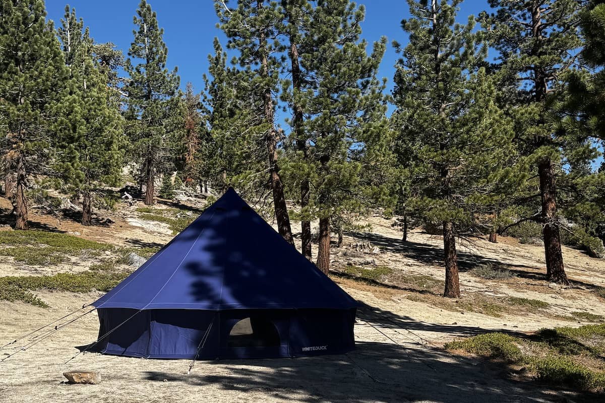 A blue bell tent site amidst the trees in the forest