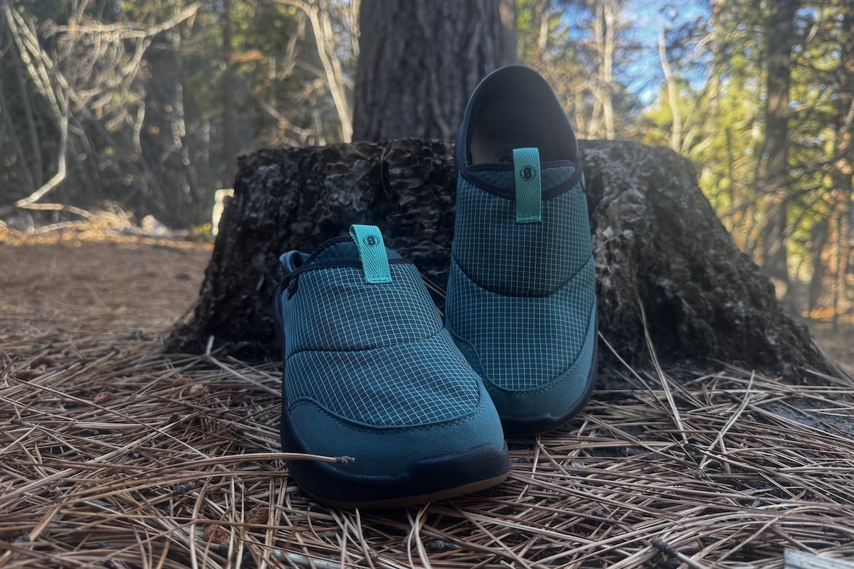 A pair of teal camp shoes sitting amidst pine needles