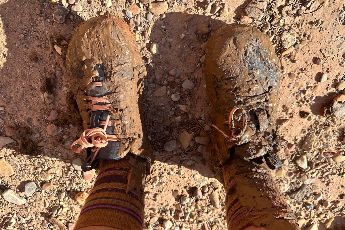 A top-down view of a pair of disgustingly muddy shoes on a hiking trail