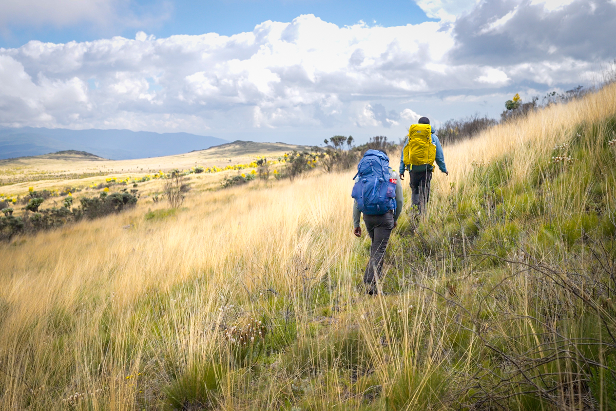 Approaching the swampy moorland past Mountain Gate