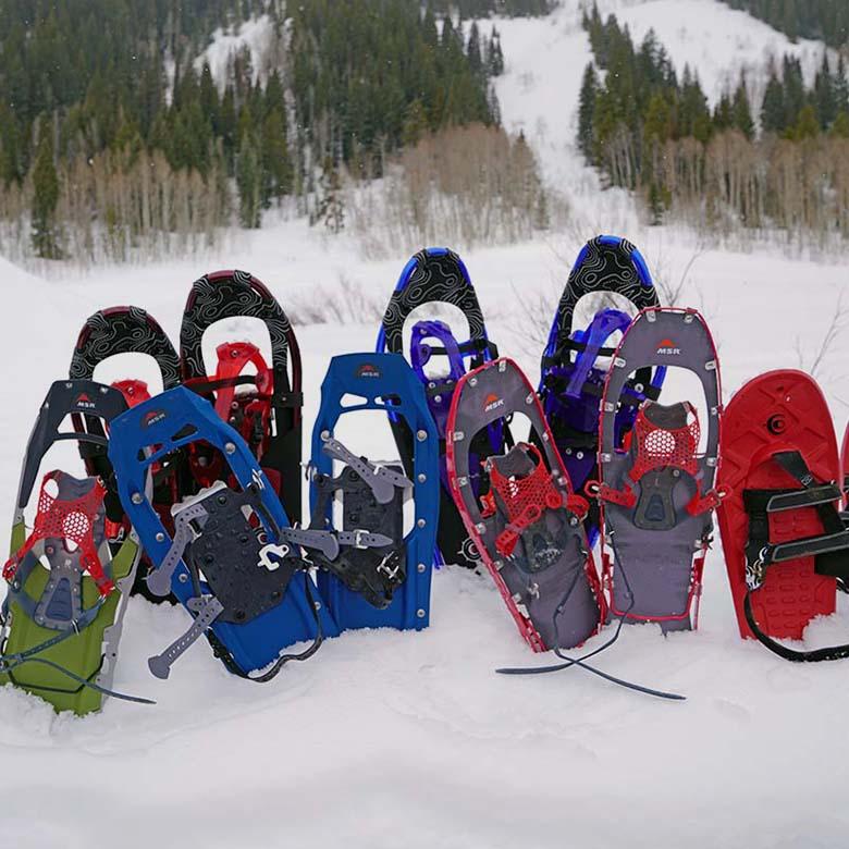 A group of snowshoes together in the snow